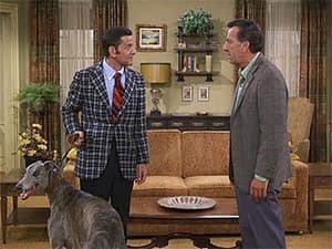 And Leave the Greyhound to Us?