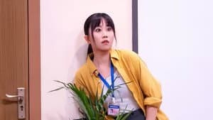 Episode 223
