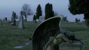 A Broken Wing