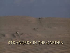 Strangers in the Garden