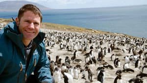 Falkland Islands