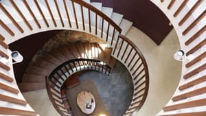 Bubbly Abode