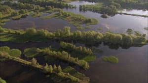 The Lusatia