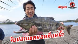 Episode 225
