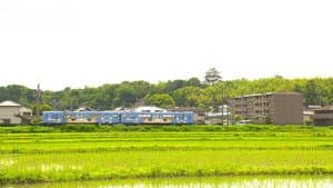 Ninjya Training in Mie