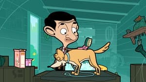 Bean The Pet Groomer