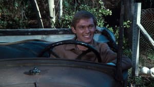 The Car