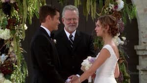 Holy Matrimony!