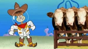 Rodeo Daze
