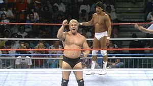 September 13, 1988