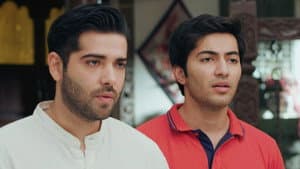 The Pandyas Face Failure