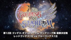 Stardom 12th Goddesses of Stardom Tag League ~Finals~