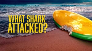 What Shark Attacked?