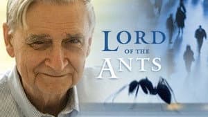 Lord of the Ants