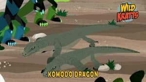 Komodo Dragon