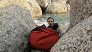 Laws Of The Jungle