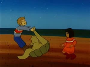 The Turtle Hunt