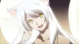 Tsubasa Cat (4)