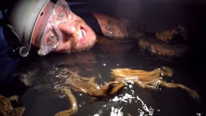Panic Pipeline