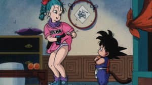 The Secret of the Dragon Balls