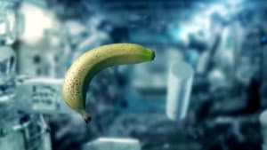 Lunch in Space