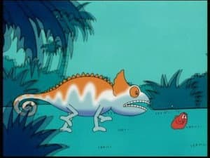 Madagascar - Aye Aye