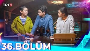 Episode 36