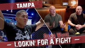 Tampa