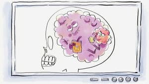 A Brain Question