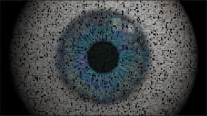 David Icke on the Rise of Big Brother's Brother