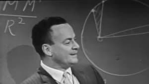 The Law of Gravitation - An Example of Physical Law