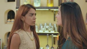 Rishita Justifies Herself