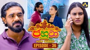 Episode 36
