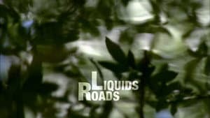 Liquid Roads