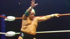 World Championship Wrestling - Jun. 13, 1987
