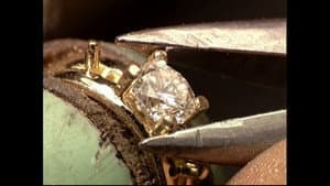 Winter Jackets, Animation, Mushrooms, Gold Rings