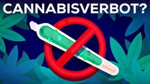 3 Arguments Why Marijuana Should Stay Illegal Reviewed