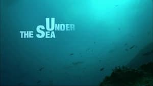 Under the Sea