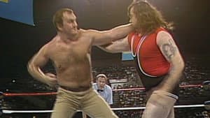 September 17, 1987