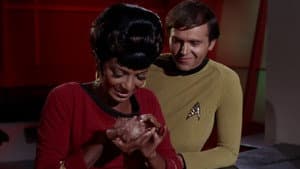 The Trouble With Tribbles