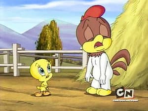 Cock-A-Doodle-Doo-It!