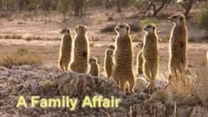 A Family Affair