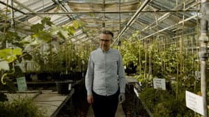Organic Farming: With or Without GMOs?