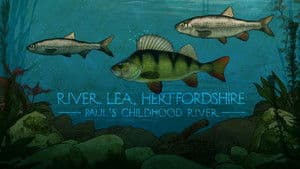River Lea, Hertfordshire: Paul's Childhood River