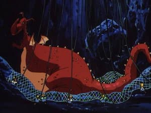 The Dragon