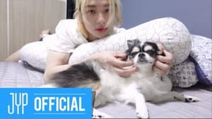 Hyunjin: Hyun.e's Holiday with 까미 2