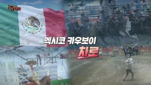 Episode 1207