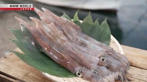 Spear Squid