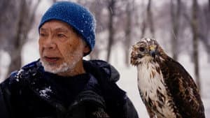 The Falconer's Legacy