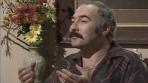Never Count Yer Chooks - Part 1